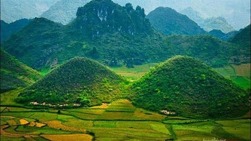 Diện tích rừng trong Vườn quốc gia Du Già được bảo vệ nhờ giao khoán cho cộng đồng dân cư