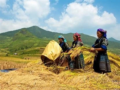 Vĩnh Phúc nỗ lực giảm nghèo ở vùng đồng bào dân tộc thiểu số