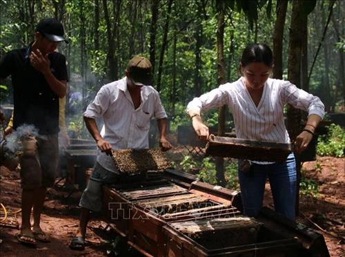 Những người bỏ phố về quê khởi nghiệp