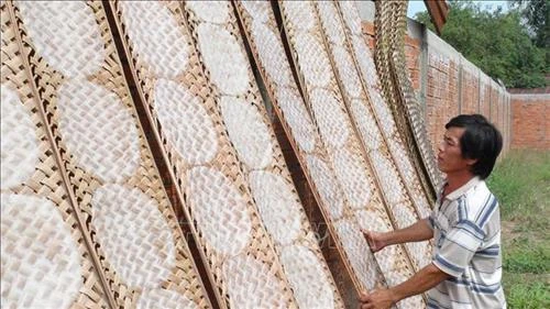 Bến Tre xây dựng chuỗi giá trị gắn với nông thôn mới