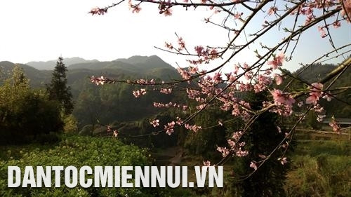 Sắc xuân ở vùng biên mậu