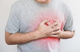 Các nhà khoa học Nhật Bản muốn thử nghiệm chữa bệnh tim bằng tế bào gốc