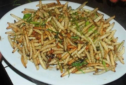 Sâu măng - thứ đặc sản chỉ dành cho người can đảm