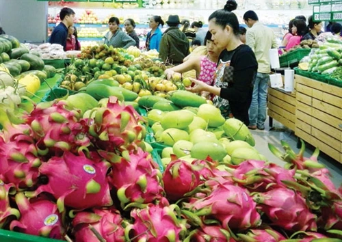 Phát huy tiềm năng, lợi thế đưa Đắk Nông phát triển nhanh, bền vững