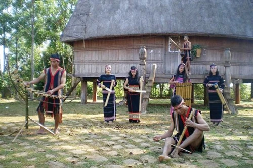 Lồ ô trong đời sống vùng Tây Nguyên