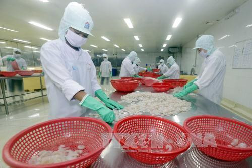 Gỡ khó cho doanh nghiệp chế biến thủy sản