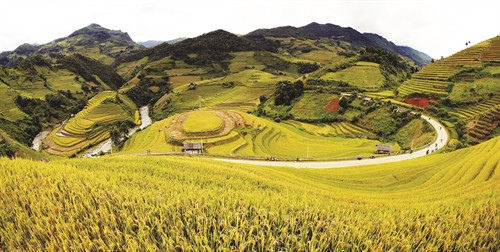 Kỳ vĩ ruộng bậc thang