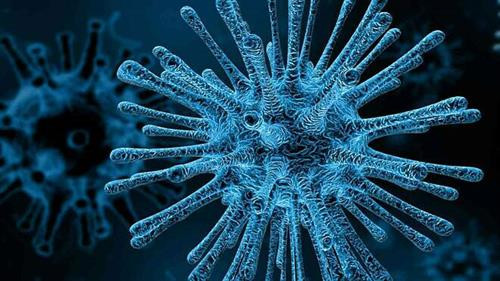 Phát hiện chủng virus HIV mới