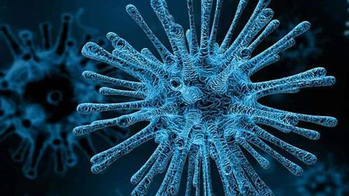 Phát hiện chủng virus HIV mới