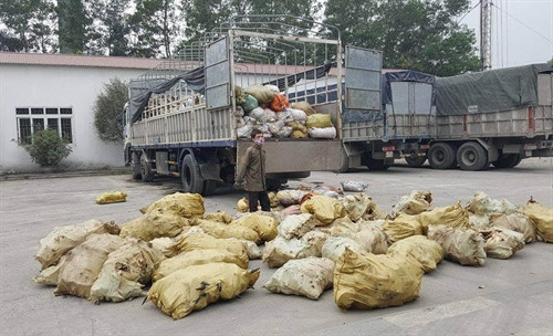 Thực hiện cơ chế thưởng tiền đối với người báo tin có giá trị về thực phẩm bẩn
