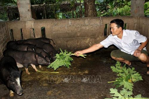 Hỗ trợ người dân vùng biên giới huyện Mường Lát xóa đói giảm nghèo
