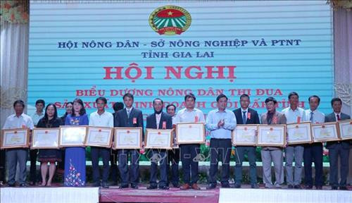 Gia Lai biểu dương nông dân sản xuất, kinh doanh giỏi giai đoạn 2017-2019