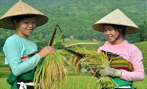 Diện mạo mới huyện nghèo vùng cao Bá Thước