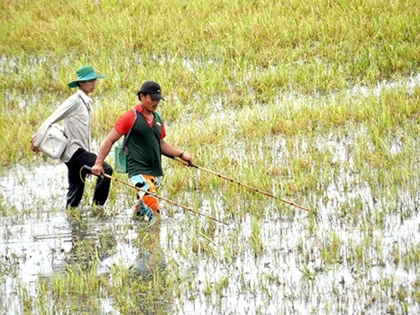 Hậu Giang: Khan hiếm nguồn thủy sản ngoài tự nhiên