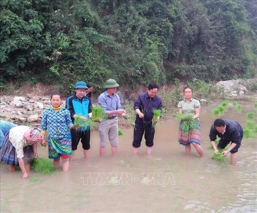 Chuyện Bí thư Giàng A Thào “bắt ma” ở Lậm Lùng