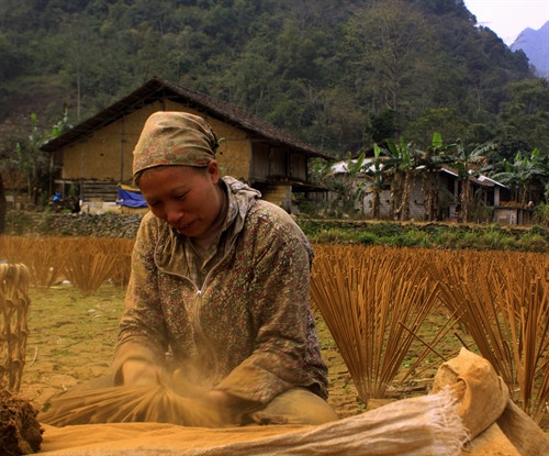 Nghề làm hương trầm ở Phja Thắp