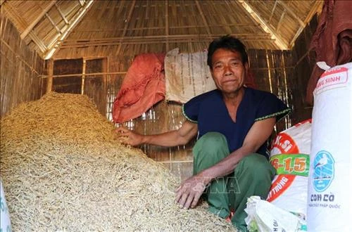 Nét đẹp văn hóa cúng kho lúa đầu năm mới của đồng bào Bahnar