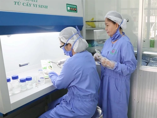 Người phụ nữ có nhiều sáng chế từ sản phẩm dừa
