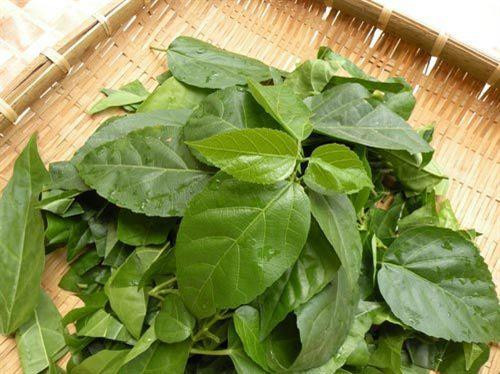 Đến miền Tây ăn ngay lá cách