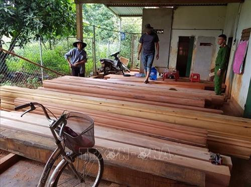 Vụ phá rừng quy mô lớn tại Đắk Lắk: Phát hiện thêm 500m3 gỗ