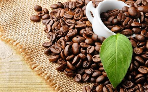 Tìm hiểu 8 sự thật về caffeine