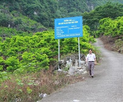 Chi Lăng xây dựng vườn mẫu sản xuất na chuẩn VietGAP, GlobalGAP