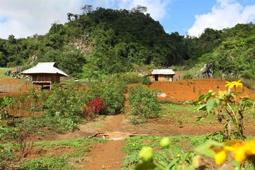 Đèo Pha Đin - điểm đến hấp dẫn du khách