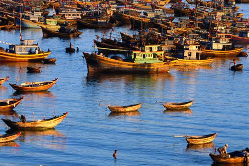 Đại Bình- “vùng đất Nam bộ” ở duyên hải miền Trung