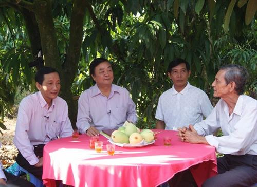 Đồng Tháp xây dựng ngành hàng xoài theo chuỗi giá trị