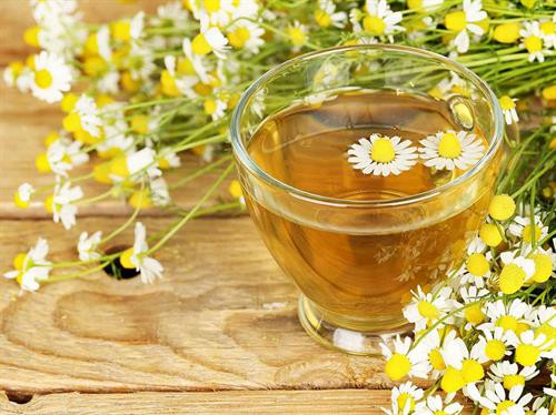 Nước uống giải nhiệt từ thảo dược