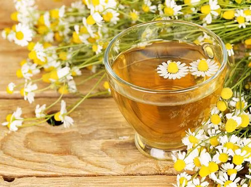 Nước uống giải nhiệt từ thảo dược