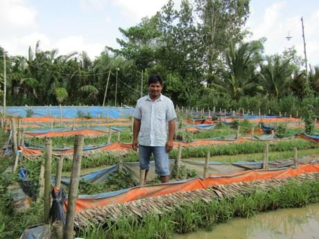 Anh Nguyễn Minh Đời lãi lớn nhờ lót bạt nuôi lươn trên ruộng
