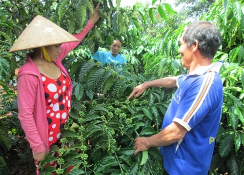 Thi đua là biết lo làm ăn, giúp đỡ lẫn nhau trong cuộc sống!