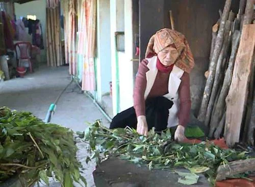 Tắm lá thuốc của người Dao - điểm nhấn du lịch Sìn Hồ