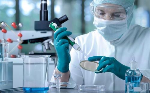 Điều trị ung thư bằng tế bào gốc mang lại hiệu quả cao