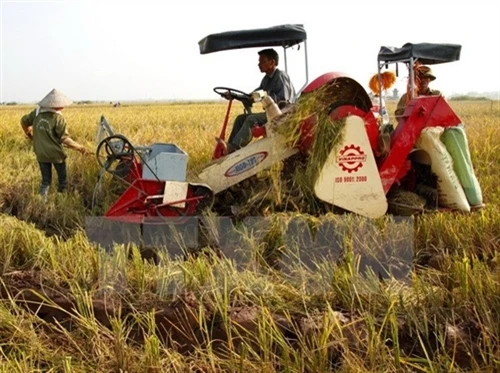 Thành phố Hồ Chí Minh ứng dụng cơ giới hóa trong sản xuất nông nghiệp