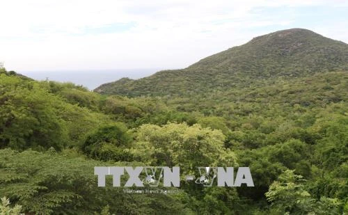Bảo tồn đa dạng sinh học gắn với phát triển du lịch bền vững Vườn quốc gia Núi Chúa