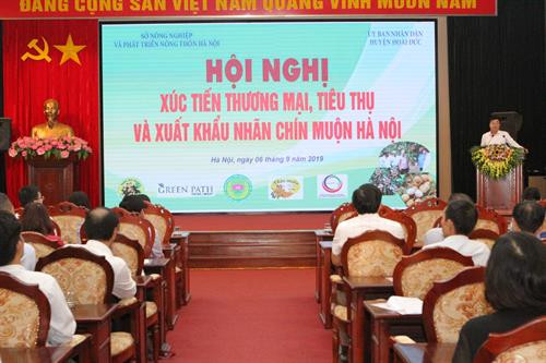Hà Nội xuất khẩu nhãn chín muộn sang Australia