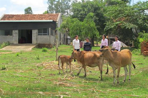 Nguồn vốn chính sách giúp đồng bào vùng cao xóa đói, giảm nghèo