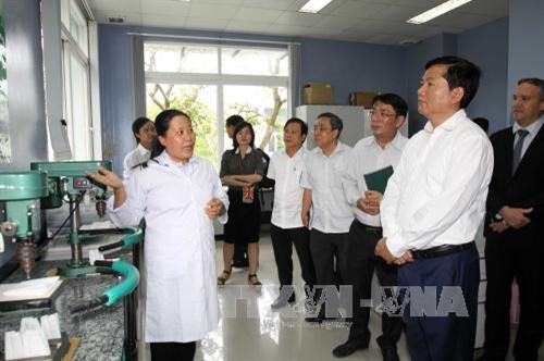 Thành phố Hồ Chí Minh đẩy mạnh hoạt động sản xuất, kinh doanh ngay sau Tết