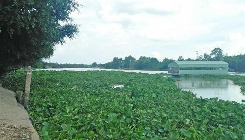 Kiên quyết ngăn chặn khai thác cát trái phép trên sông Vàm Cỏ Đông