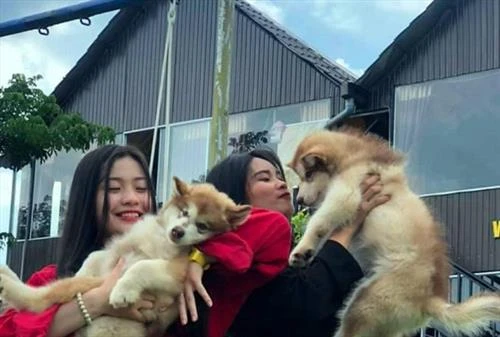 Du khách thích thú mô hình cà phê thú cưng ở Đắk Lắk