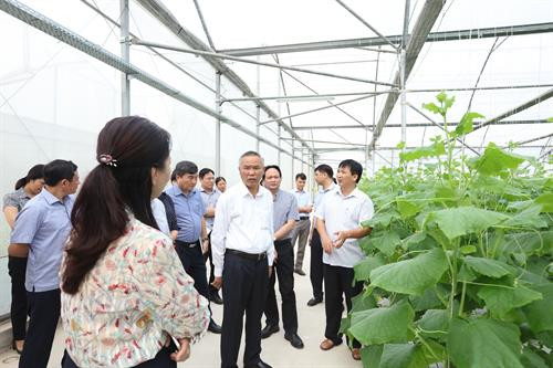 Hà Nội - Hà Nam hợp tác sản xuất tiêu thụ nông sản an toàn