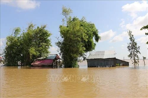 Đồng bằng sông Cửu Long mùa nước nổi (Bài 2)