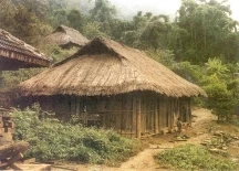 Người Dao
