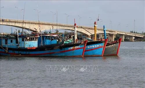 Gần 55 tỷ đồng hỗ trợ ngư dân khai thác hải sản xa bờ