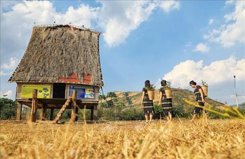 Vẻ đẹp phố núi Gia Lai