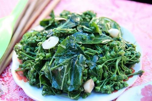 Run rẩy nếm thử món “lá ngón xào, rêu nấu canh” ở Tây Bắc