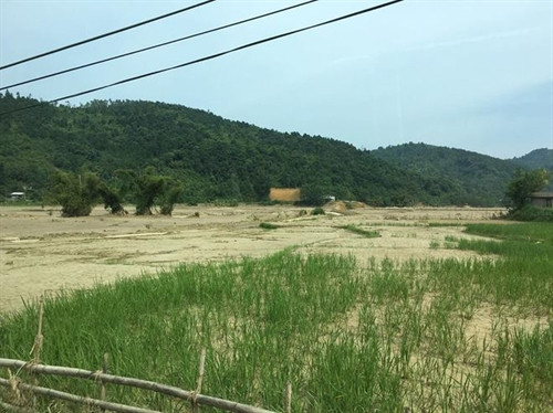 Màu xanh sinh sôi nơi "rốn lũ" Lào Cai