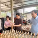 Mở hướng thoát nghèo từ mô hình nuôi cấy mô thực vật